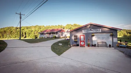 🐑 Ellijay Sheep farmhouse experience! Farm stay, explore, feed the animals