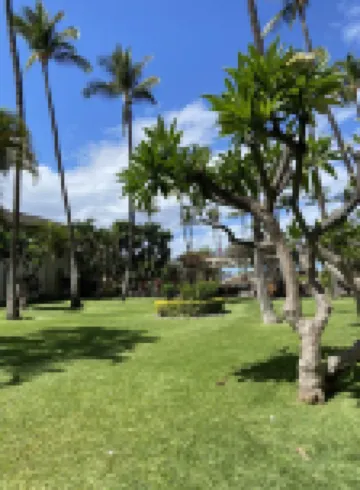Cozy Ground Floor Condo at Kihei Akahi C-108 with A/C