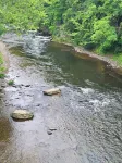 Riverfront Staircase Long Bridge Fishing Hotspot Salmon & Steelhead-Sleeps 8