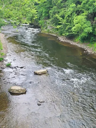 Riverfront Staircase Long Bridge Fishing Hotspot Salmon & Steelhead-Sleeps 8 Отели в г. Пуласки