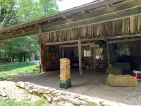 Dreamy Glamping Tent Near Conley Bottom Hotels in Wayne County