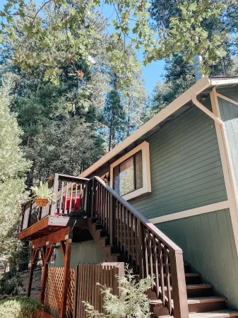 New! Terrys Treehouse | Dog Friendly | Cozy Cabin Отели в г. Твейн Харт