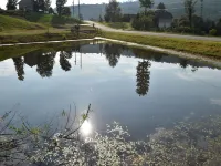 Mountain View Cottage Hotels in Dade County