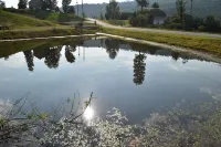 Mountain View Cottage