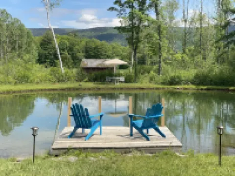 Home with a spring-fed pond and mountain view.