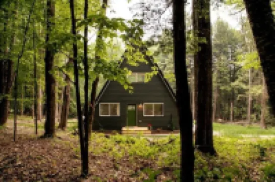 BirchRidge A-Frame:Catskills Retreat-Sauna-Firepit
