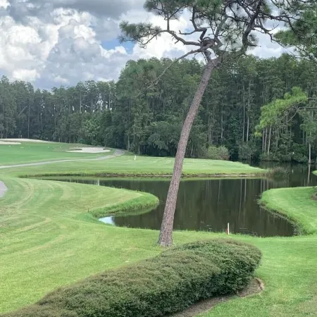 GolfView Condo Near Tampa 1 bdrm 1 bath