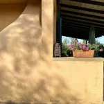 Tuscan countryhouse apartment, 10 min by the sea,  with AC and large garden. Hotels in Castagneto Carducci