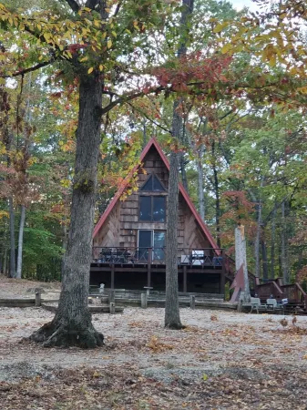 2 Wooded Acres, 2 King Beds & 1 Full Bed, Fire Pit & Plenty of Parking!