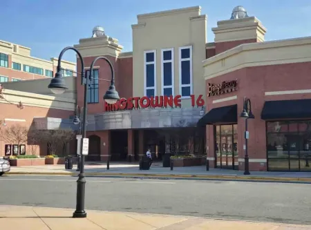 Cozy 1-bedroom unit in amazing Alexandria Отели рядом с достопримечательностью «Exxon»