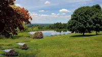 Summer is Waiting for You at Whispering Willows Farm
