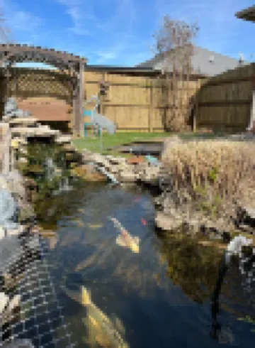 Cali king beds. Best of Nicholasville! Koi pond relaxing backyard. 3 bed 2 bath 尼古拉斯維爾酒店