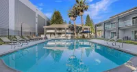 SureStay Plus Hotel by Best Western Sacramento North Hotels in Sacramento