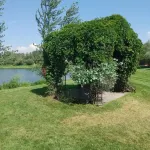 SkyWater Cabins Hotels in Ravalli County