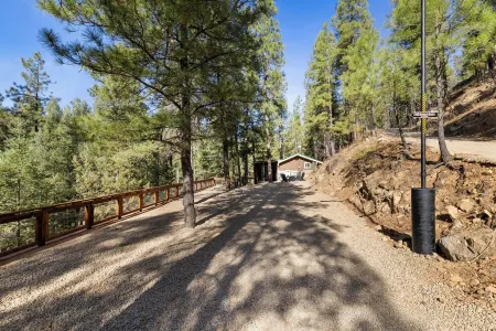 MTNSIDE Cabin with VIEWS by LYNX LAKE 20 min to TOWN
