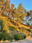 Maison de Famille Entre Pinède et Vignes à 15mn de la Plage