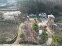 Yangpyeong Evergreen Pension