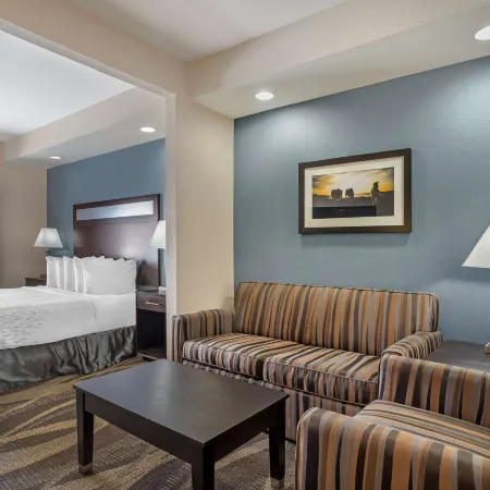 Best Western Plus Lake Jackson Inn Suites