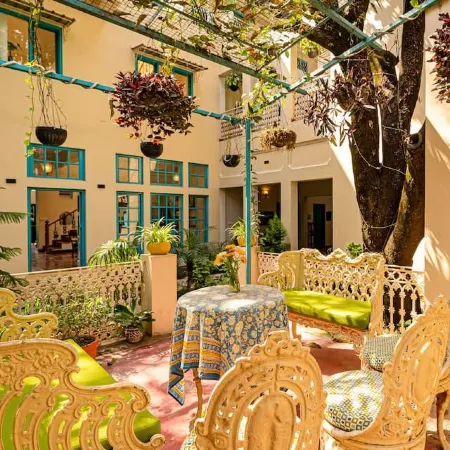 Mango Tree Courtyard Dehradun