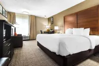 Comfort Inn Evansville East