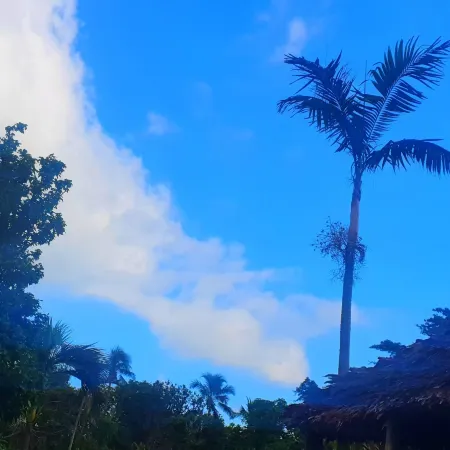 Volcano Island Paradise Bungalows