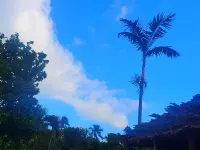 ボルケーノ島のパラダイスバンガロー
