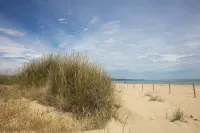 レジデンツァ エクセルシオール 604