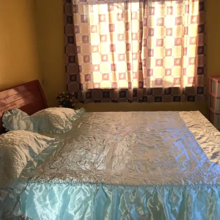 Logerthine Studio Suriname