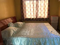 Logerthine Studio Suriname Hotels near Presidential Palace
