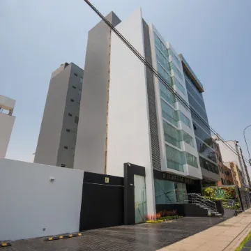 Palmetto Hotel Business San Borja