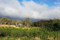 Taralee Orchards Hotels in Port Pirie