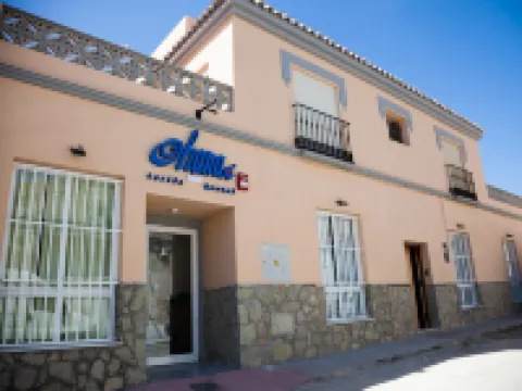 ホステル オハナ タリファ タリファのホテル