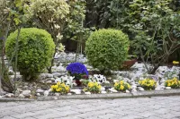 Hotel Arcobaleno Siena