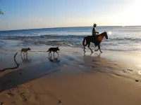 Modern Hillside Home with Sleek Interiors and Panoramic Poolside Views