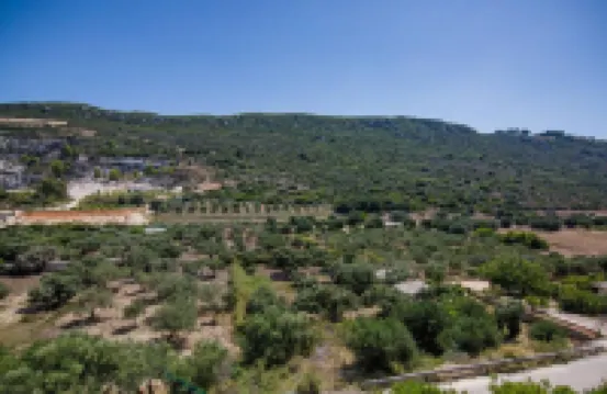 วิลล่า เอลปิดาที่มินีส