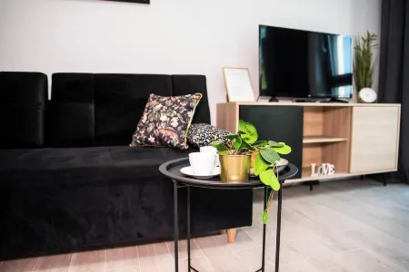 Easy Rent Apartments - Business Center 41, 24h Check-IN Отели в г. Ясткув