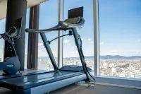 豐橋阿爾克利希酒店 - 健身室/gym room
