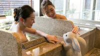 Oyado Tsukiyo No Usagi - Spa