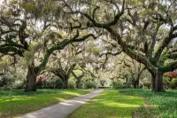 Charming Carriage house Near Old Town Bluffton! Hotels in Bluffton