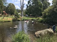 Warburton Digs - parking