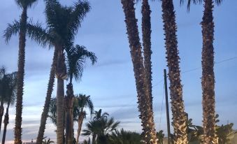 Villetta Del Salento Exclusive B&B