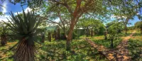Three Tree Hill Lodge