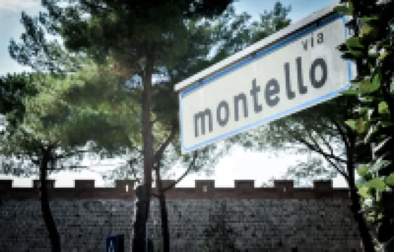 아피타카메레 델포