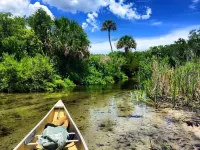 Shamrock Cove Inn Hotels in Ocala