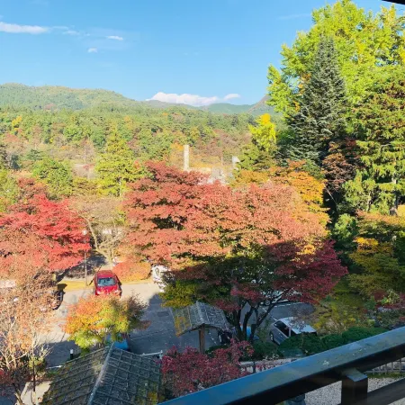 Nikko Hoshino Yado
