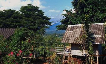 Baan AingDoi Homestay