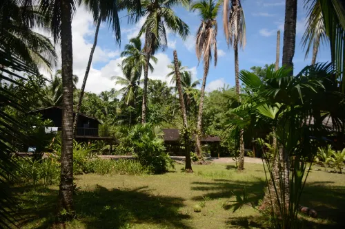Casa Cielito Hotels in Nuqui
