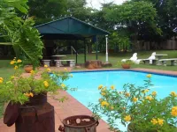 Ascot Inn - Pool
