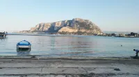 Cassaro261