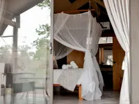 Little Africa Safari Lodge Hotels in Hoedspruit